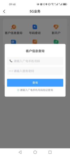 输入验证