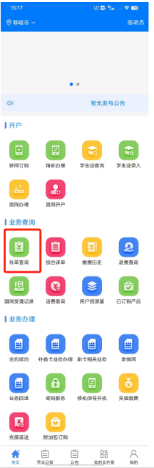 账单查询